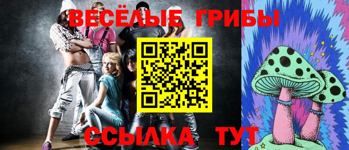 Людиново  Псилоцибиновые грибы Magic Shrooms  Вход с VPN 