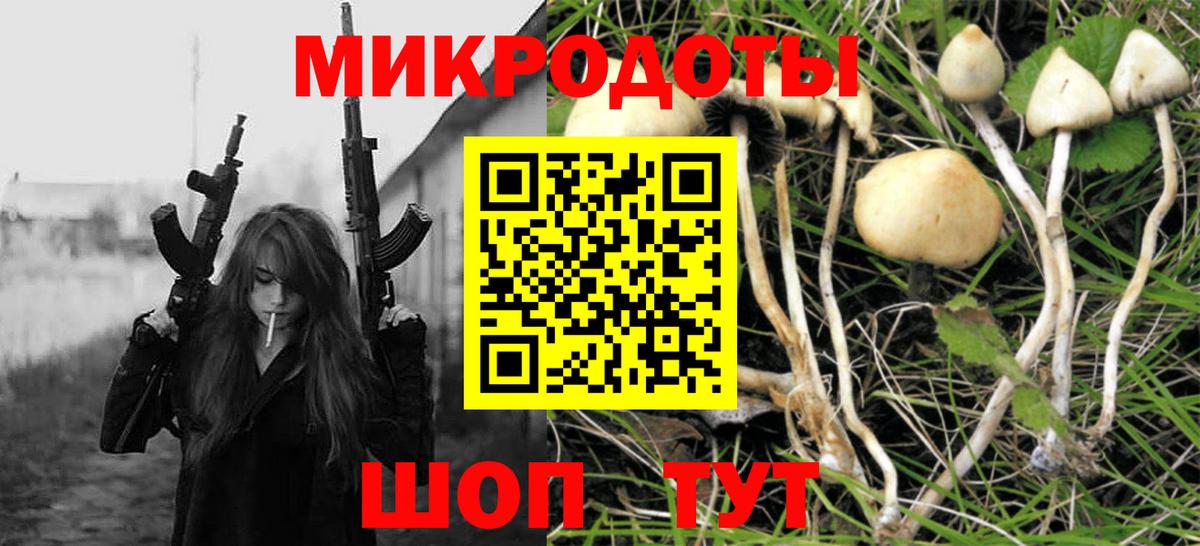 Галлюциногенные грибы Cubensis Людиново
